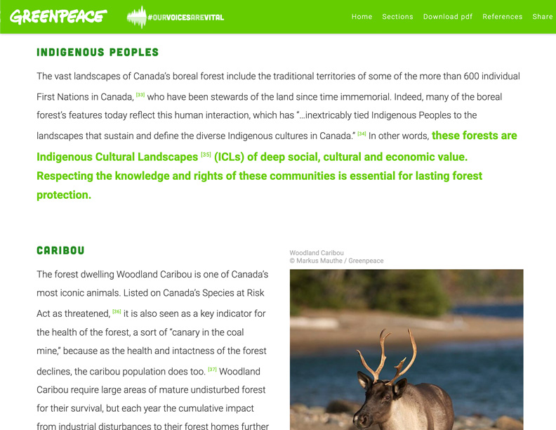 CaribouForest_web_2