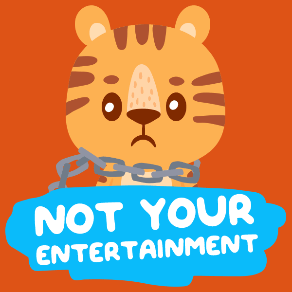 not-your-entertainment