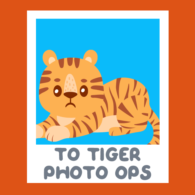 say-no-to-tiger-photo-ops
